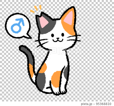 耳カットをされた雄の三毛猫 95368810