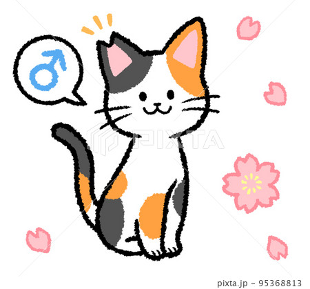 耳カットをされた雄の三毛猫 95368813