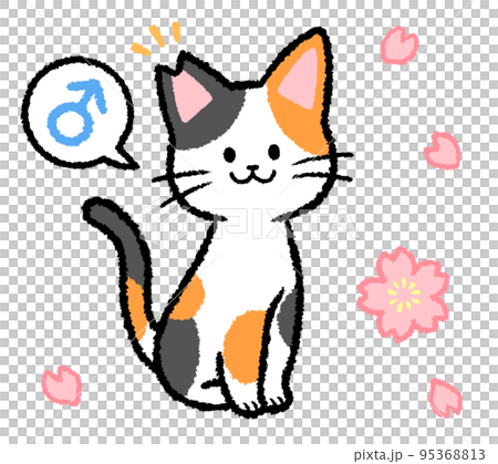 耳カットをされた雄の三毛猫 95368813