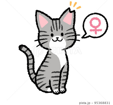 耳カットをされた雌のサバトラ猫 耳カットをされた雌のサバトラ猫 95368831