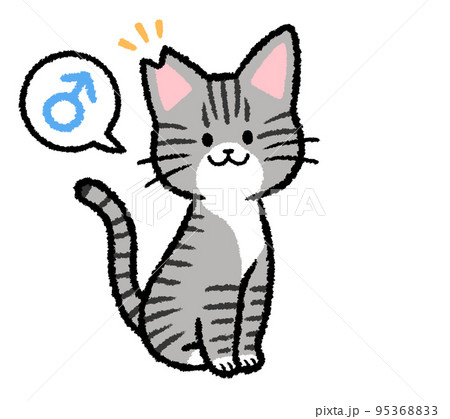 耳カットをされた雄のサバトラ猫 95368833