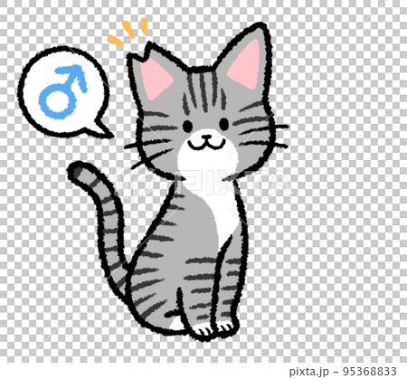 耳カットをされた雄のサバトラ猫 95368833