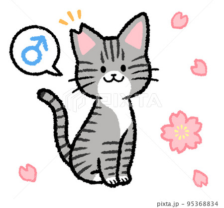 耳カットをされた雄のサバトラ猫 95368834