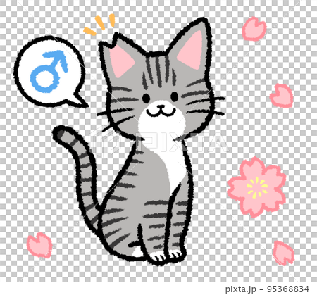 耳カットをされた雄のサバトラ猫 95368834