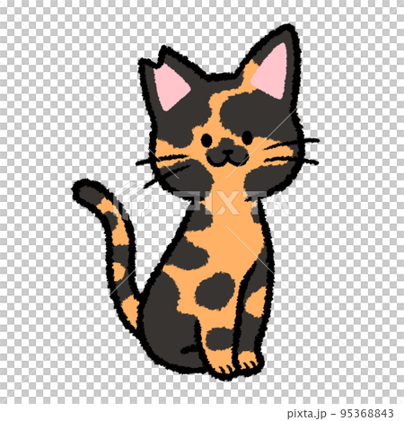 Male Sabi cat with ear cut 95368843