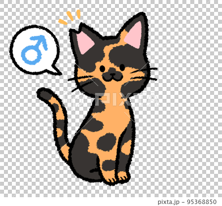 耳カットをされた雄のサビ猫 95368850
