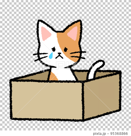 段ボール箱に入れられて泣いている捨て猫 段ボール箱に入れられて泣いている捨て猫 95368866