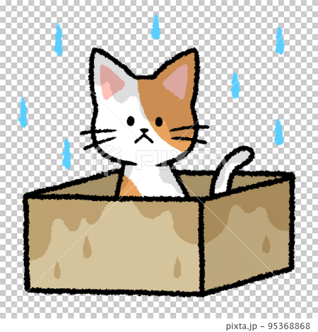 紙箱裡的一隻被遺棄的貓，被雨淋濕了 95368868