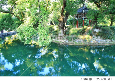 女性 女 女の子 95370181