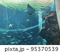 水族館 95370539