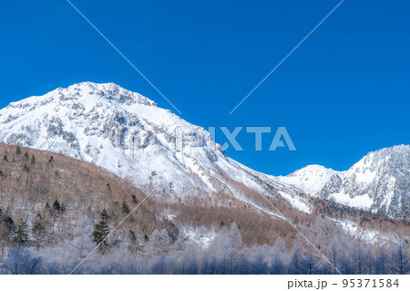 【レア素材】冬の上高地　大正池付近の風景【長野県】 95371584