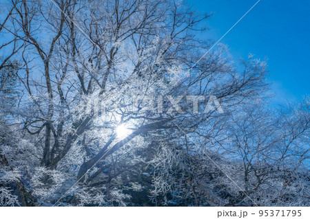【レア素材】冬の上高地　霧氷【長野県】 95371795