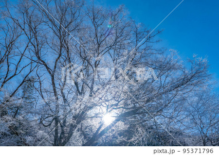 【レア素材】冬の上高地 霧氷【長野県】 【レア素材】冬の上高地 霧氷【長野県】 95371796