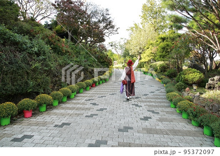 花びら 自然 屋外 95372097