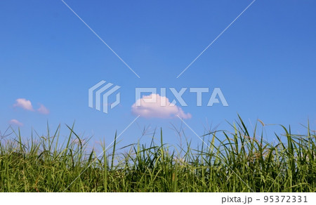 爽やかな青空　鬼怒川堤防より　秋の風景 95372331