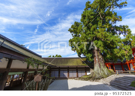岩本神社--社頭の大杉の根元に社殿がある小さな神社 岩本神社--社頭の大杉の根元に社殿がある小さな神社 95372525
