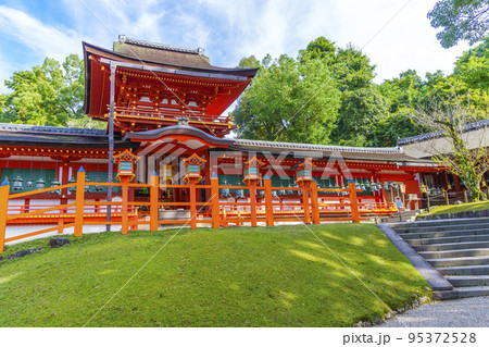 朝の木漏れ日が美しい春日大社 本殿 95372528