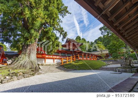 朝の木漏れ日が美しい春日大社 本殿 朝の木漏れ日が美しい春日大社 本殿 95372580