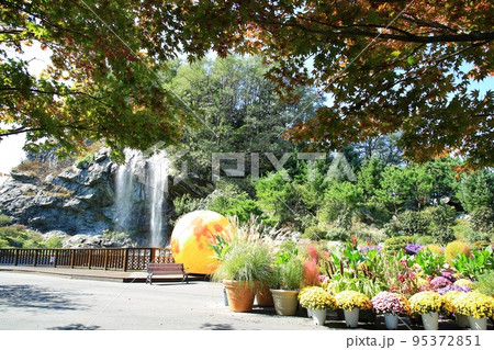 花 花畑 景色 95372851