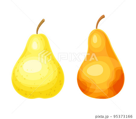 Whole Ripe Pear Pomaceous Fruit as Organic Garden Crop Vector Set 95373166