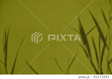 Shadow of leaves on olive green concrete wall texture background 95375093