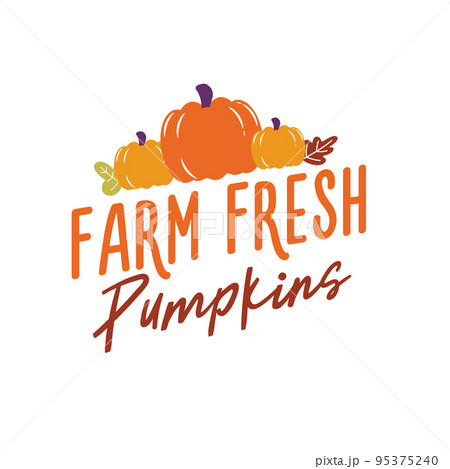 Farm Fresh Pumpkins sign with cute pumpkins. Autumn Thanksgiving quote on white background. Farm Fresh Pumpkins sign with cute pumpkins. Autumn Thanksgiving quote on white background. 95375240