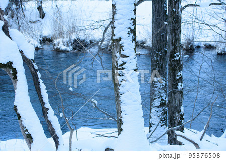冬の千歳川上流 冬の千歳川上流 95376508