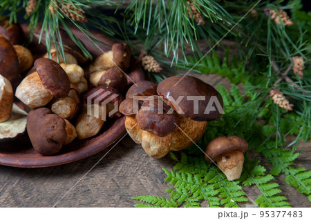 Imleria Badia or Boletus badius mushrooms commonly known as the bay bolete and clay plate with mushrooms on vintage wooden background.. Imleria Badia or Boletus badius mushrooms commonly known as the bay bolete and clay plate with mushrooms on vintage wooden background.. 95377483