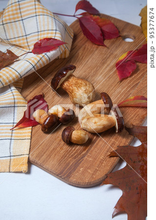 Several Imleria Badia or Boletus badius mushrooms commonly known as the bay bolete on wooden cutting board.. Several Imleria Badia or Boletus badius mushrooms commonly known as the bay bolete on wooden cutting board.. 95377674