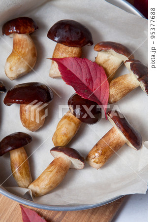 Vintage baking sheet with Imleria Badia or Boletus badius mushrooms commonly known as the bay bolete on wooden cutting board.. Vintage baking sheet with Imleria Badia or Boletus badius mushrooms commonly known as the bay bolete on wooden cutting board.. 95377688