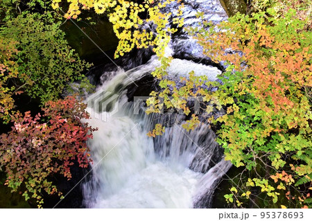 奥日光 竜頭の滝(滝下)の紅葉 95378693