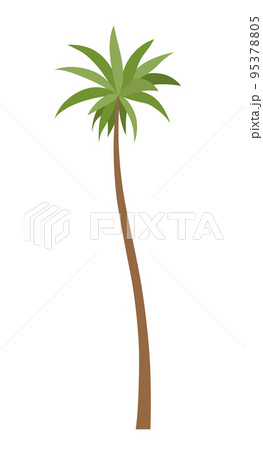 Palm tree with green leaves top and trunk. Exotic fruitful tree. Vector nature flora isolated on white background Palm tree with green leaves top and trunk. Exotic fruitful tree. Vector nature flora isolated on white background 95378805