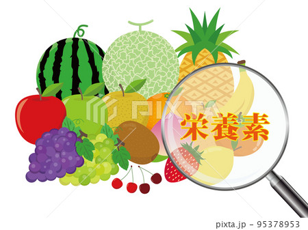 栄養素 果物 95378953