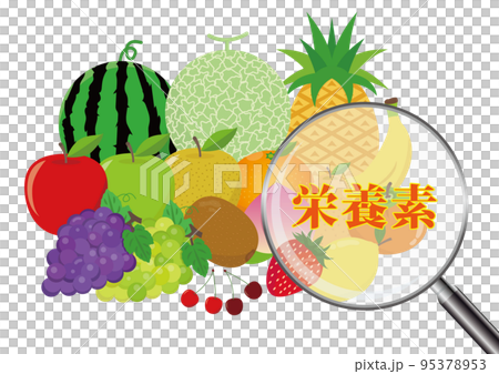 栄養素 果物 95378953