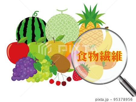 食物繊維 果物 食物繊維 果物 95378956