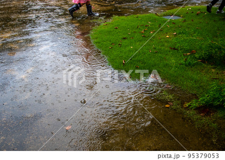 雨音の聞こえる景色～浜名湖ガーデンパーク 95379053