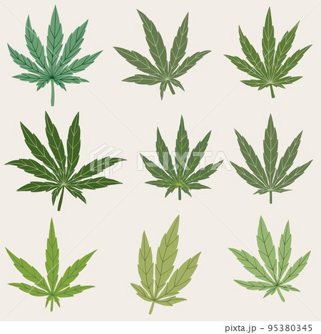 simplicity cannabis leaf freehand drawing collection. simplicity cannabis leaf freehand drawing collection. 95380345
