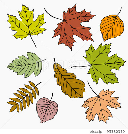 Simplicity maple freehand drawing flat design. 95380350
