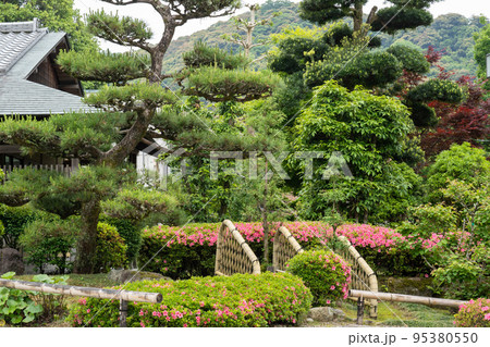 ツツジと緑の樹木で構成される日本庭園（岐阜公園） 95380550