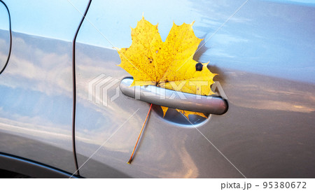 Falling maple leaves are stuck in the door handle of the car. Falling maple leaves are stuck in the door handle of the car. 95380672