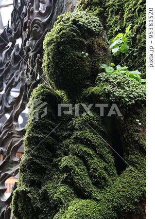 大阪府大阪市中央区難波にある法善寺の「水掛不動」 95381520