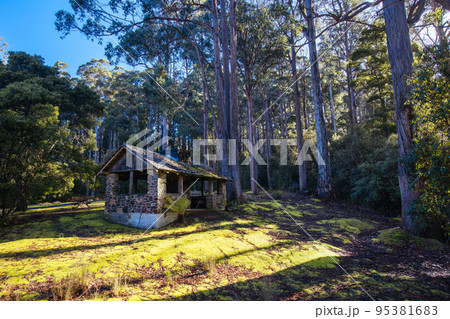 Mt Field National Park in Tasmania Australia Mt Field National Park in Tasmania Australia 95381683