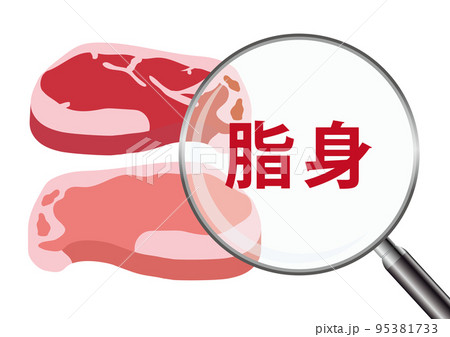 お肉 脂身 95381733