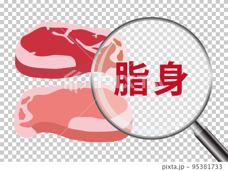 お肉 脂身 95381733