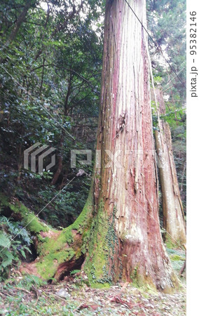 紅葉の名所：鰐淵寺までの道のりにて 95382146