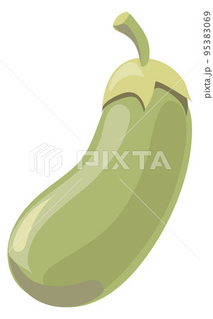 Zucchini cartoon icon. Green raw healthy vegetable 95383069