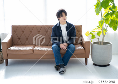 無気力な20代男性-リビングのソファーと観葉植物 95384098