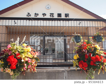 ふかや花園駅　花 95384813