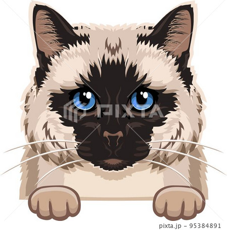 Pixel Siamese Cat Face Isolated Vector Stock Vector (Royalty Free)  1144552613