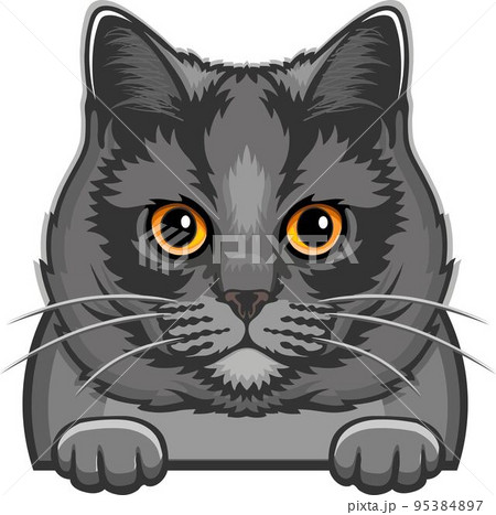 Cat Icon (PFP)  Grass Cat - Stock Illustration [106178349] - PIXTA